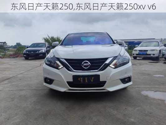 东风日产天籁250,东风日产天籁250xv v6