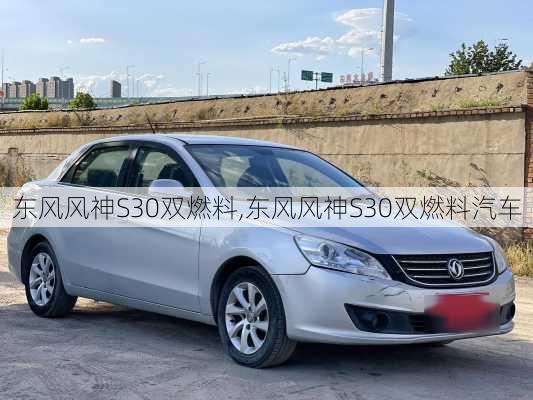 东风风神S30双燃料,东风风神S30双燃料汽车