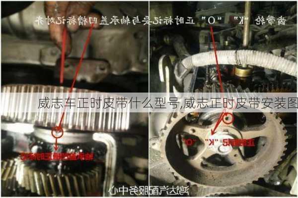 威志车正时皮带什么型号,威志正时皮带安装图