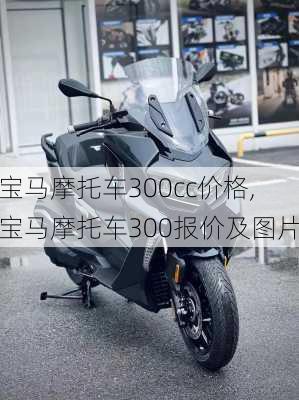 宝马摩托车300cc价格,宝马摩托车300报价及图片