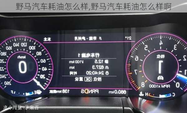 野马汽车耗油怎么样,野马汽车耗油怎么样啊