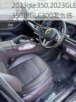 2023gle350,2023GLE350跟GLC300怎么选