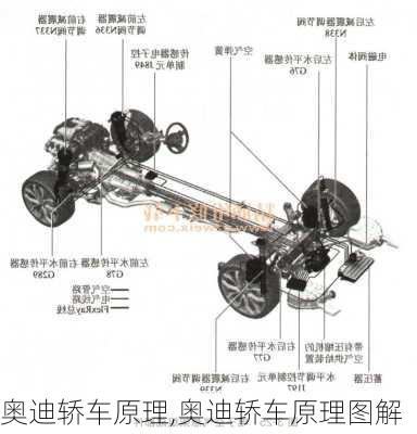 奥迪轿车原理,奥迪轿车原理图解