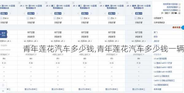 青年莲花汽车多少钱,青年莲花汽车多少钱一辆