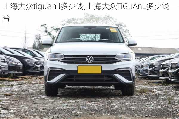 上海大众tiguan l多少钱,上海大众TiGuAnL多少钱一台